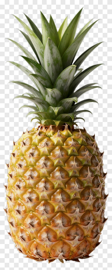 Fresh Pineapple PNG