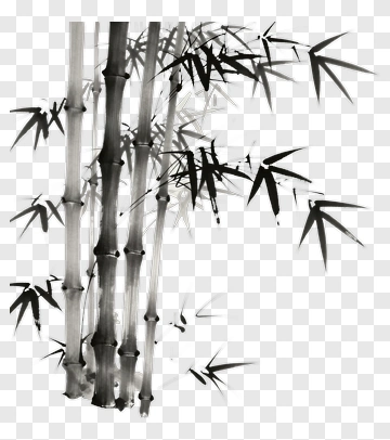 Black And White Bamboo PNG