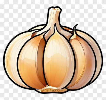 Garlic Bulb Illustration PNG