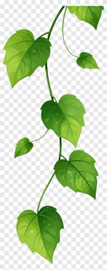 Green Leaf Vines PNG
