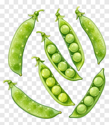 Colorful Green Peas In Pods PNG