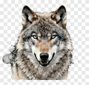 Realistic Wolf With Blue Eyes PNG