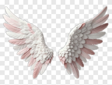 Feathered Angel Wings PNG
