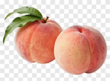 Fresh Peaches With Leaves PNG