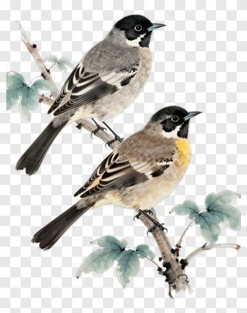 Pair Of Colorful Birds Perched On Branch PNG