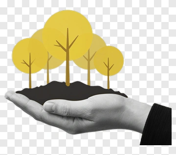 Hand Holding Stylized Trees PNG