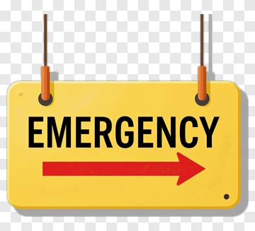 Emergency Sign With Arrow PNG