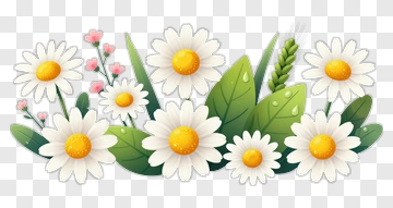 Flower Bouquet With Daisies And Green Leaves PNG