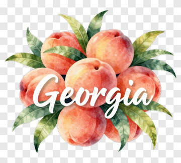 Peach Arrangement With Georgia Text PNG