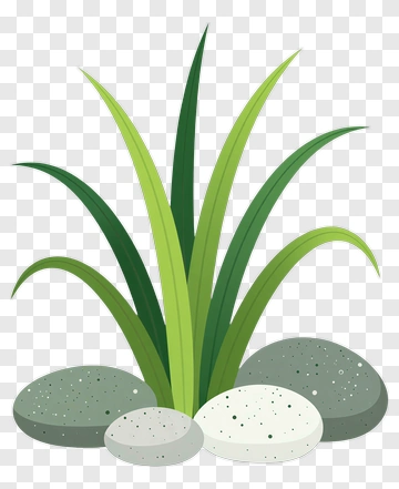 Grass And Stones Arrangement PNG