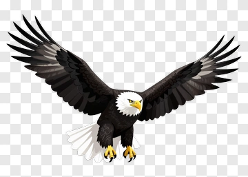 Cartoon Bald Eagle Flying With Outstretched Wings PNG