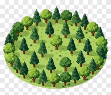 Forest Landscape With Various Trees PNG