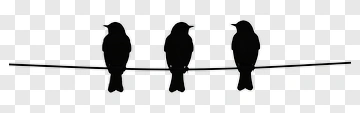 Silhouette Of Three Birds On A Wire PNG