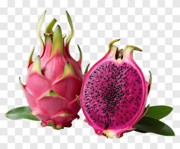 Dragon Fruit With Pink Flesh And Green Leaves PNG