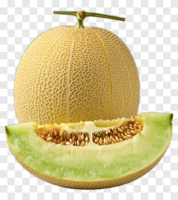 Fresh Cantaloupe Melon Slice PNG
