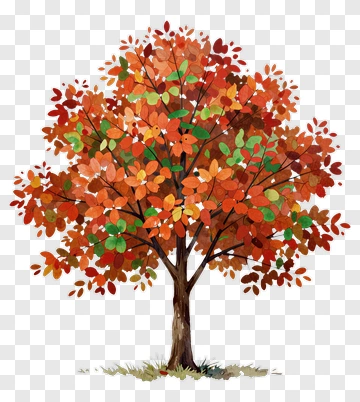 Colorful Tree With Autumn Leaves PNG
