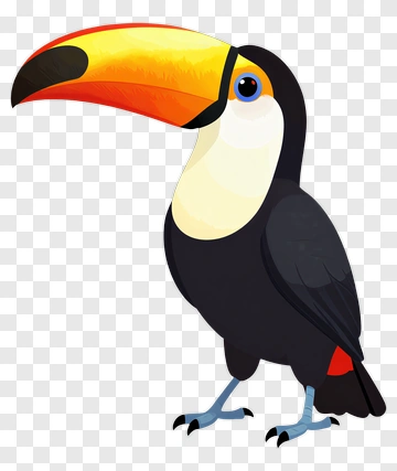 Cartoon Toucan With Colorful Beak PNG