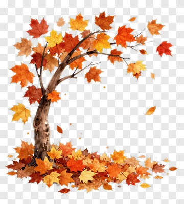 Colorful Tree With Autumn Leaves PNG