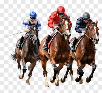 Horse Racing Jockeys Competing On Racehorses PNG