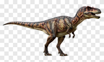 Realistic Tyrannosaurus Rex Dinosaur PNG