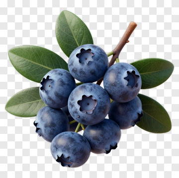 Fresh Blueberries With Leaves PNG