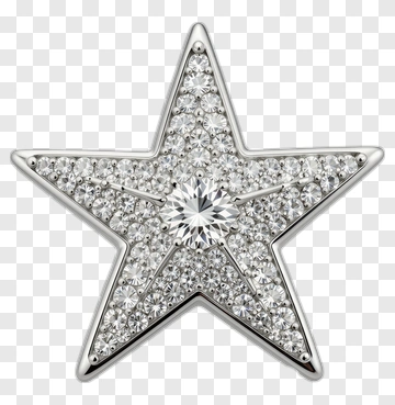 Silver Star With Diamonds PNG