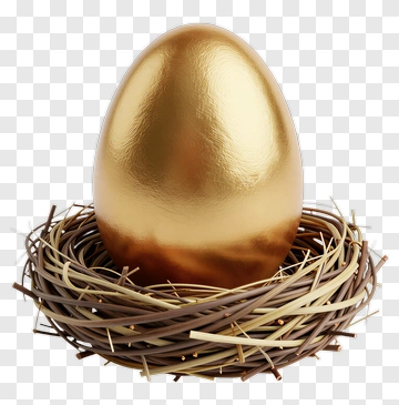 Golden Egg In A Nest PNG