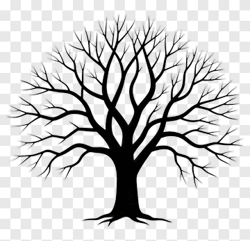 Black Tree With Bare Branches PNG