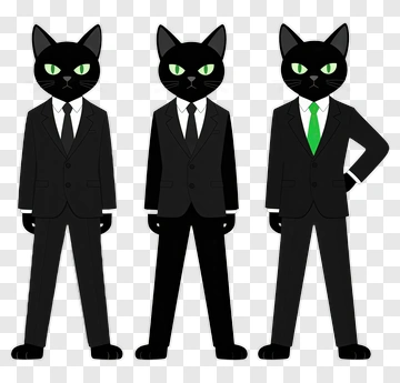 Black Cat Business Team In Suits PNG