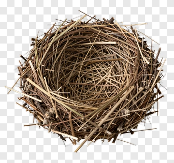 Natural Bird Nest PNG