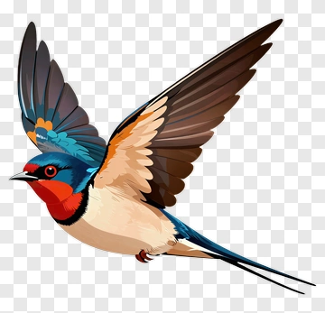 Colorful Swallow Bird In Flight PNG
