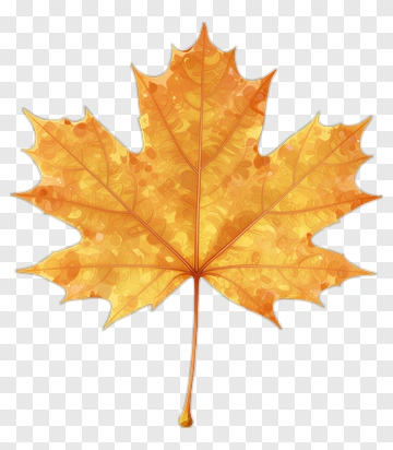 Colorful Maple Leaf PNG