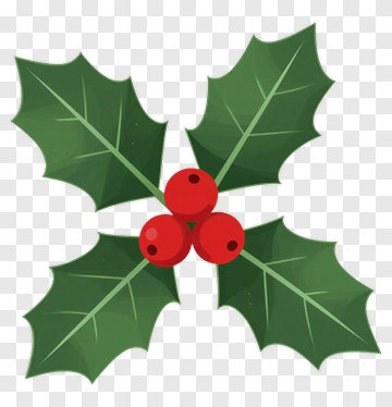 Holly Leaves With Red Berries PNG