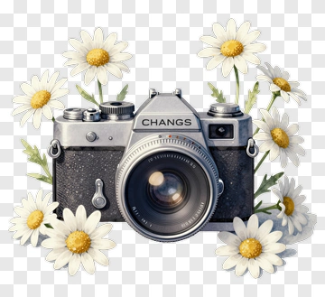 Vintage Camera Surrounded By Daisies PNG