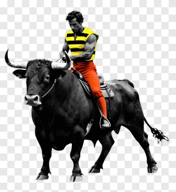 Bull Rider In Action PNG