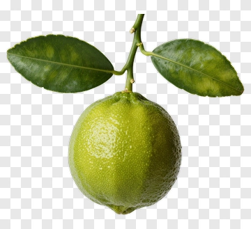 Green Lime With Leaves PNG