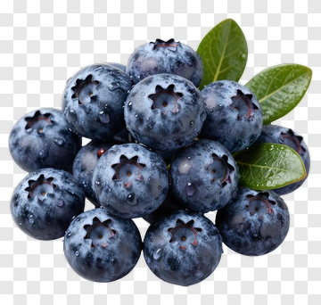 Fresh Blueberries With Green Leaves PNG