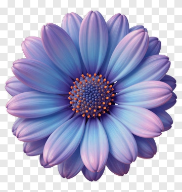 Colorful Flower With Purple Petals PNG