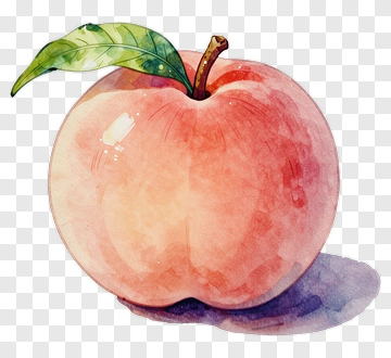 Watercolor Peach With Leaf PNG