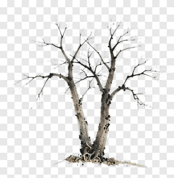 Bare Tree With Exposed Roots PNG