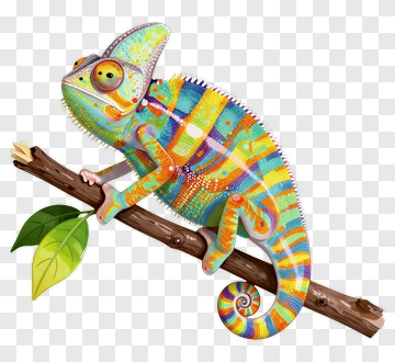 Colorful Chameleon On A Branch PNG