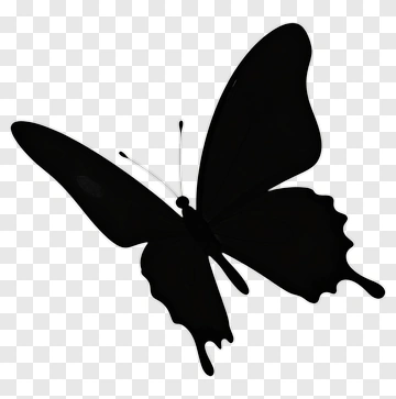 Black Butterfly Silhouette PNG