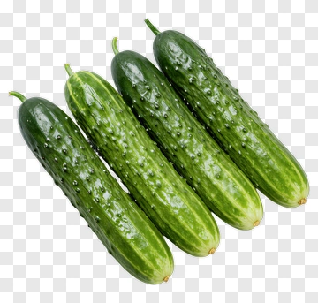 Fresh Cucumbers PNG