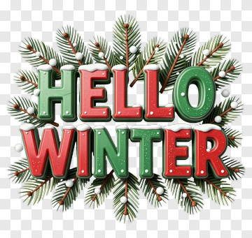 Hello Winter Greeting With Pine Branches PNG