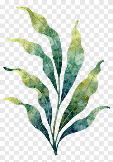 Colorful Watercolor Leaves PNG