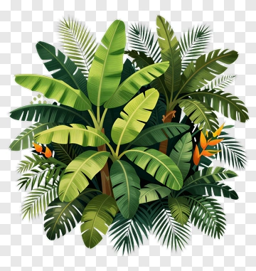 Tropical Greenery With Palm Leaves PNG
