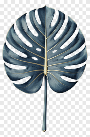 Elegant Monstera Leaf PNG