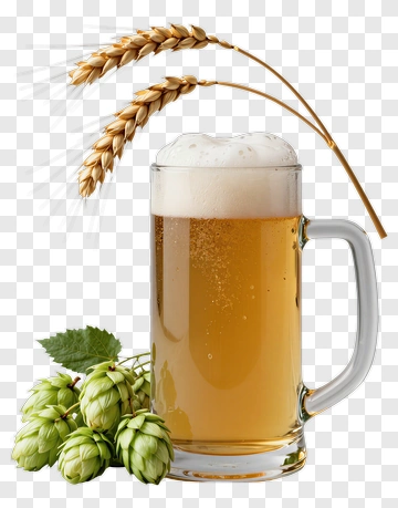 Beer Mug With Hops And Wheat PNG