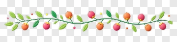 Colorful Floral Vine With Berries PNG