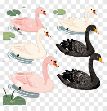 Group Of Cartoon Swans In A Pond PNG